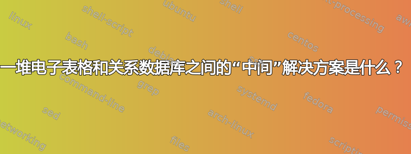 一堆电子表格和关系数据库之间的“中间”解决方案是什么？