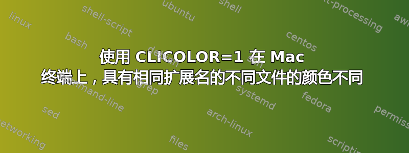 使用 CLICOLOR=1 在 Mac 终端上，具有相同扩展名的不同文件的颜色不同