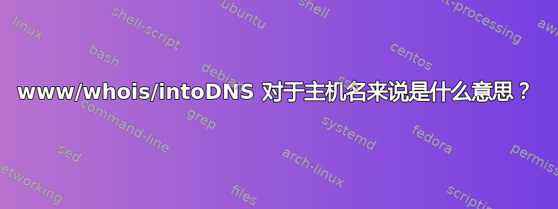 www/whois/intoDNS 对于主机名来说是什么意思？