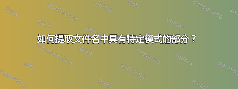 如何提取文件名中具有特定模式的部分？