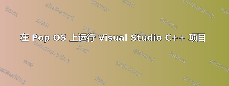 在 Pop OS 上运行 Visual Studio C++ 项目