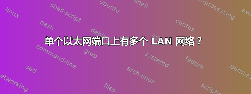 单个以太网端口上有多个 LAN 网络？