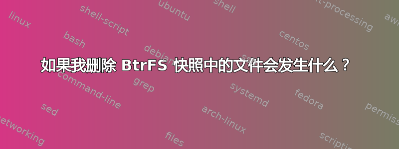 如果我删除 BtrFS 快照中的文件会发生什么？