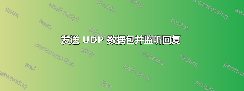 发送 UDP 数据包并监听回复