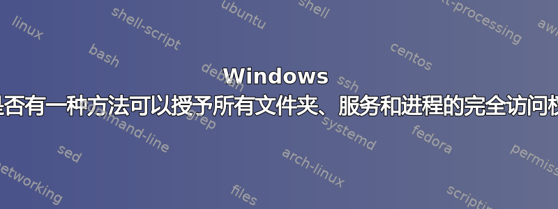 Windows 当前是否有一种方法可以授予所有文件夹、服务和进程的完全访问权限？