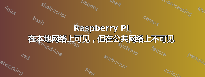 Raspberry Pi 在本地网络上可见，但在公共网络上不可见
