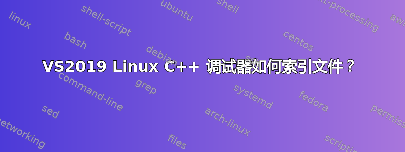 VS2019 Linux C++ 调试器如何索引文件？