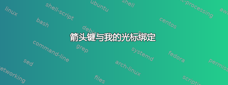 箭头键与我的光标绑定