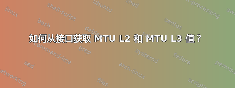 如何从接口获取 MTU L2 和 MTU L3 值？