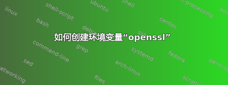 如何创建环境变量“openssl”