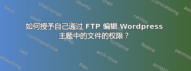 如何授予自己通过 FTP 编辑 Wordpress 主题中的文件的权限？