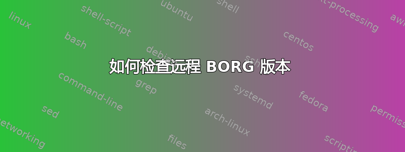 如何检查远程 BORG 版本