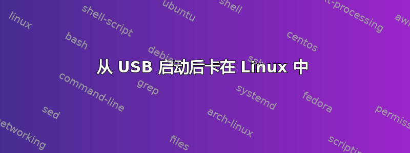 从 USB 启动后卡在 Linux 中