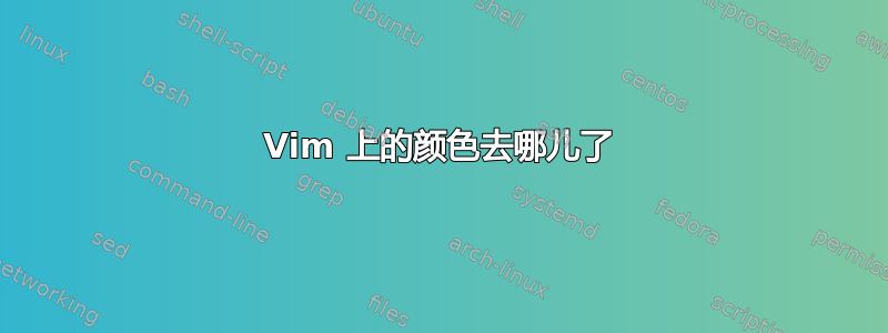 Vim 上的颜色去哪儿了