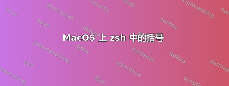 MacOS 上 zsh 中的括号