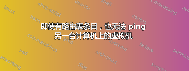 即使有路由表条目，也无法 ping 另一台计算机上的虚拟机