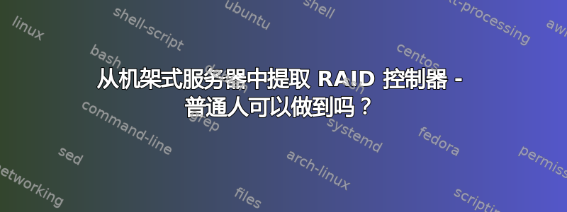从机架式服务器中提取 RAID 控制器 - 普通人可以做到吗？