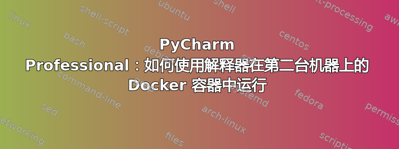 PyCharm Professional：如何使用解释器在第二台机器上的 Docker 容器中运行