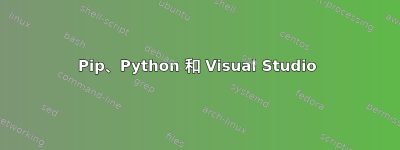 Pip、Python 和 Visual Studio