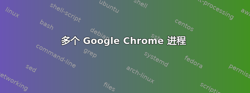 多个 Google Chrome 进程