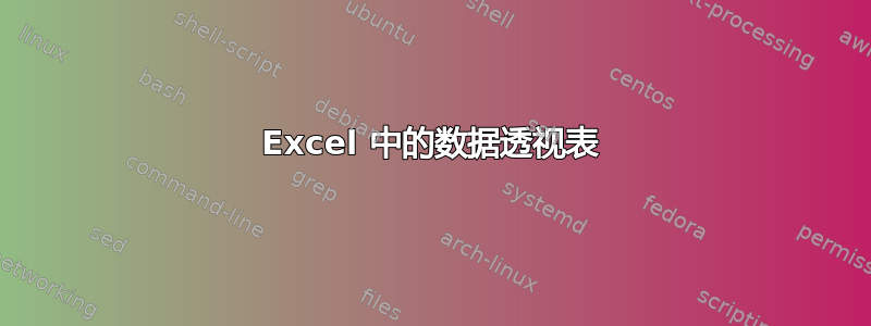 Excel 中的数据透视表