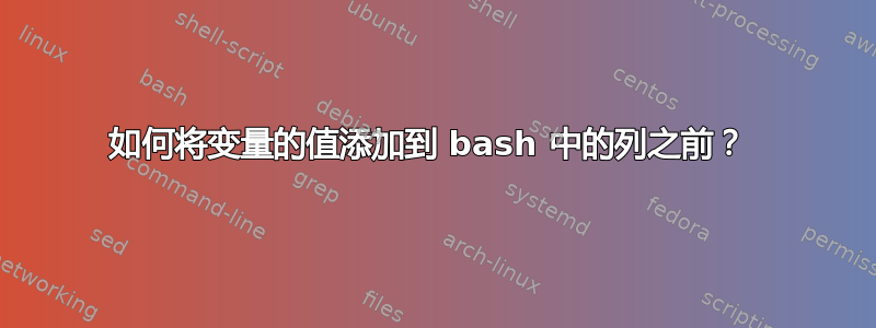 如何将变量的值添加到 bash 中的列之前？ 