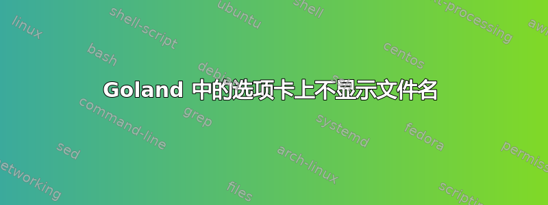 Goland 中的选项卡上不显示文件名