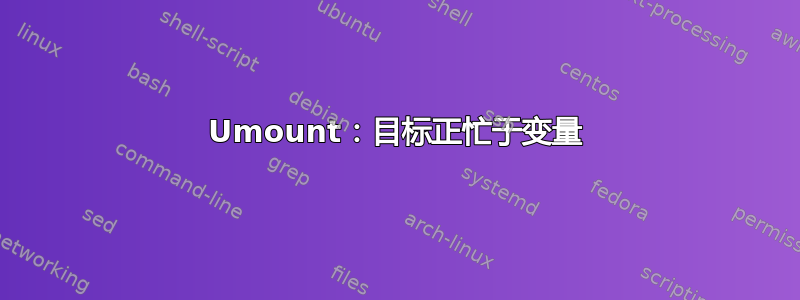 Umount：目标正忙于变量