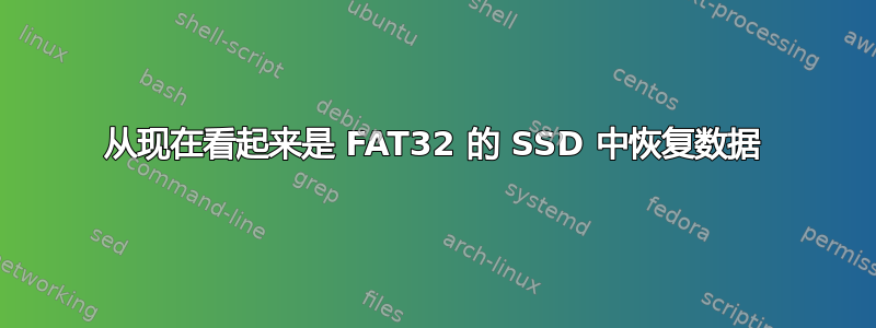 从现在看起来是 FAT32 的 SSD 中恢复数据