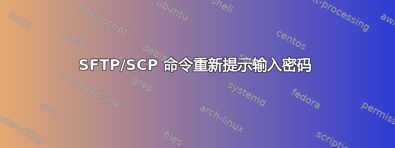 SFTP/SCP 命令重新提示输入密码