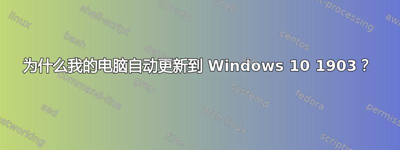 为什么我的电脑自动更新到 Windows 10 1903？