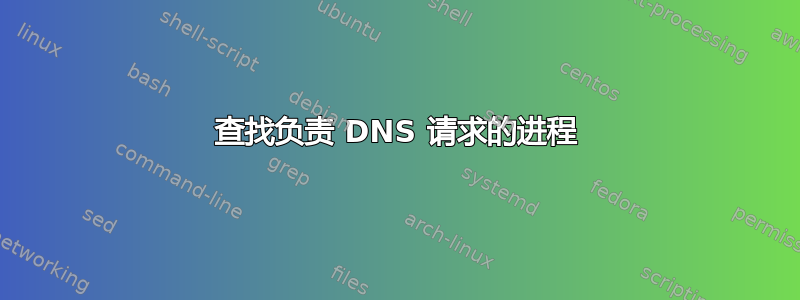 查找负责 DNS 请求的进程