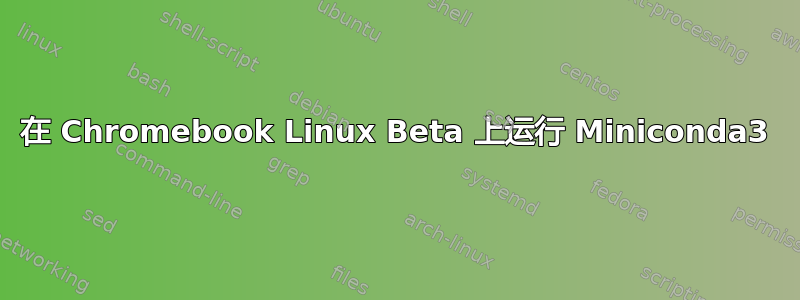 在 Chromebook Linux Beta 上运行 Miniconda3