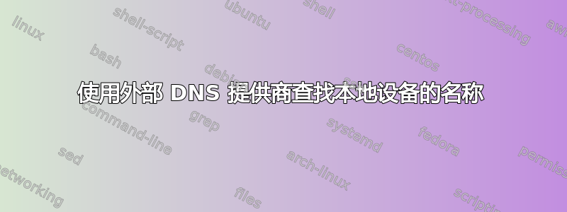 使用外部 DNS 提供商查找本地设备的名称