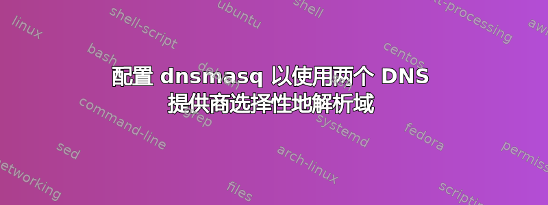配置 dnsmasq 以使用两个 DNS 提供商选择性地解析域