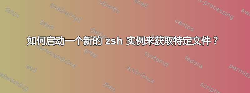 如何启动一个新的 zsh 实例来获取特定文件？