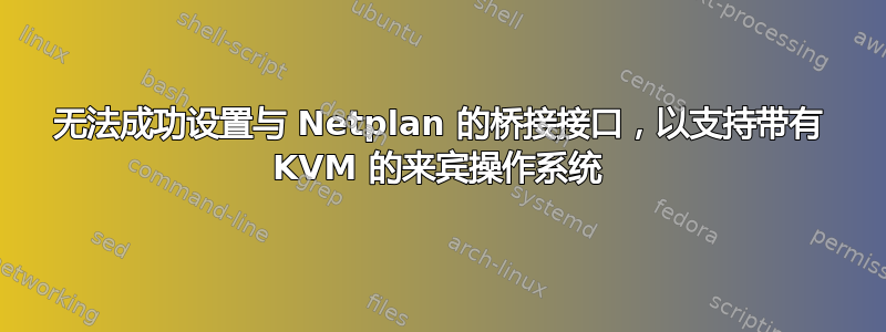 无法成功设置与 Netplan 的桥接接口，以支持带有 KVM 的来宾操作系统