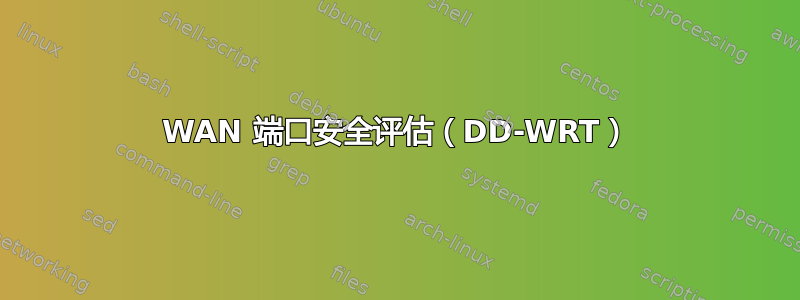 WAN 端口安全评估（DD-WRT）