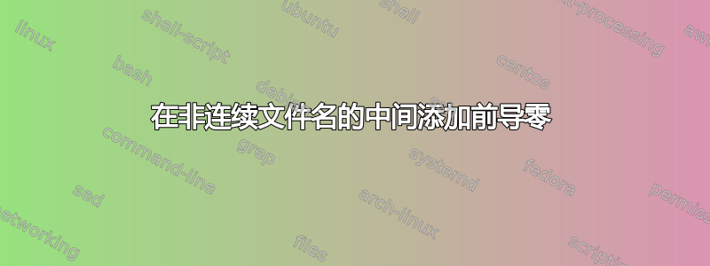 在非连续文件名的中间添加前导零