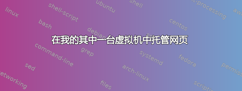 在我的其中一台虚拟机中托管网页