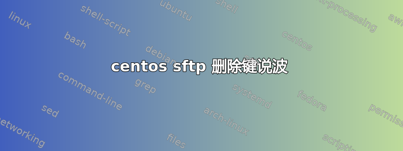 centos sftp 删除键说波