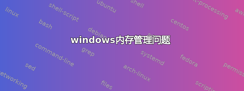 windows内存管理问题