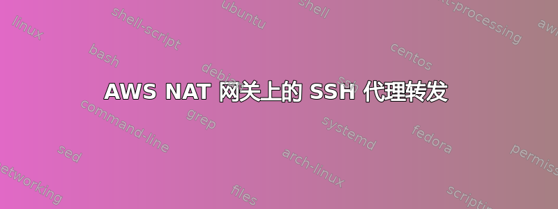 AWS NAT 网关上的 SSH 代理转发