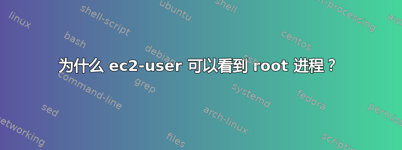 为什么 ec2-user 可以看到 root 进程？