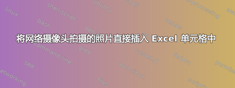 将网络摄像头拍摄的照片直接插入 Excel 单元格中