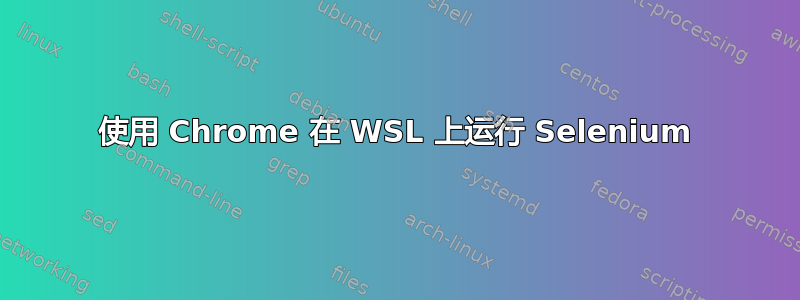 使用 Chrome 在 WSL 上运行 Selenium