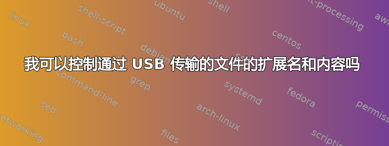 我可以控制通过 USB 传输的文件的扩展名和内容吗