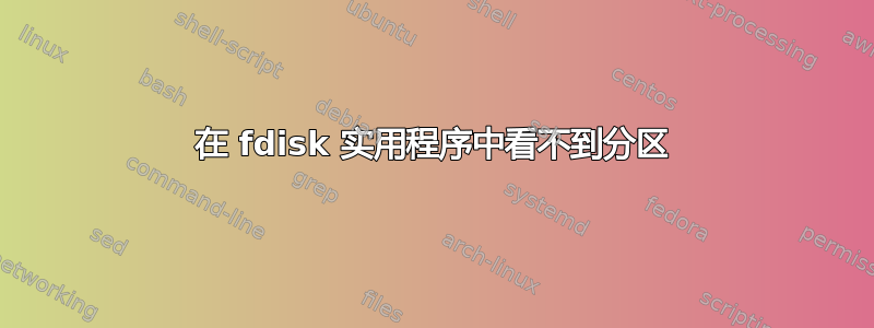 在 fdisk 实用程序中看不到分区