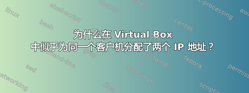 为什么在 Virtual Box 中似乎为同一个客户机分配了两个 IP 地址？