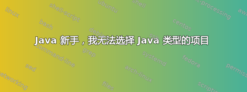 Java 新手，我无法选择 Java 类型的项目